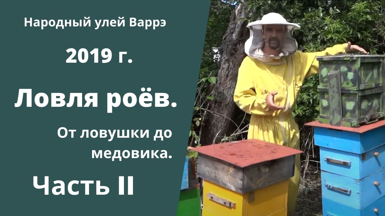 Улей Аббата Эмиля Варре (Корпусный улей, без рамок)