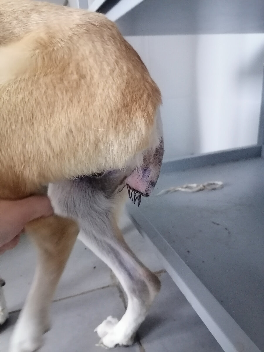 После операции 