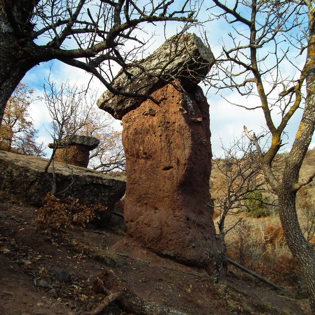 Каменные грибы у Алушты в Крыму.