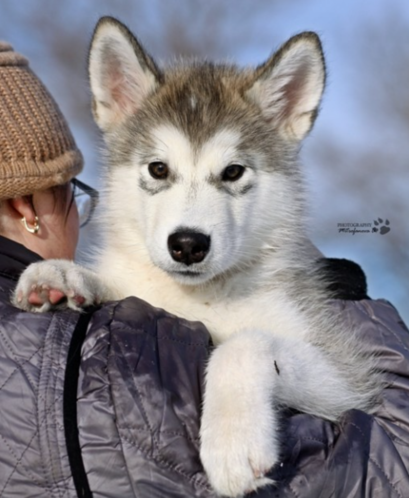 Фото с просторов