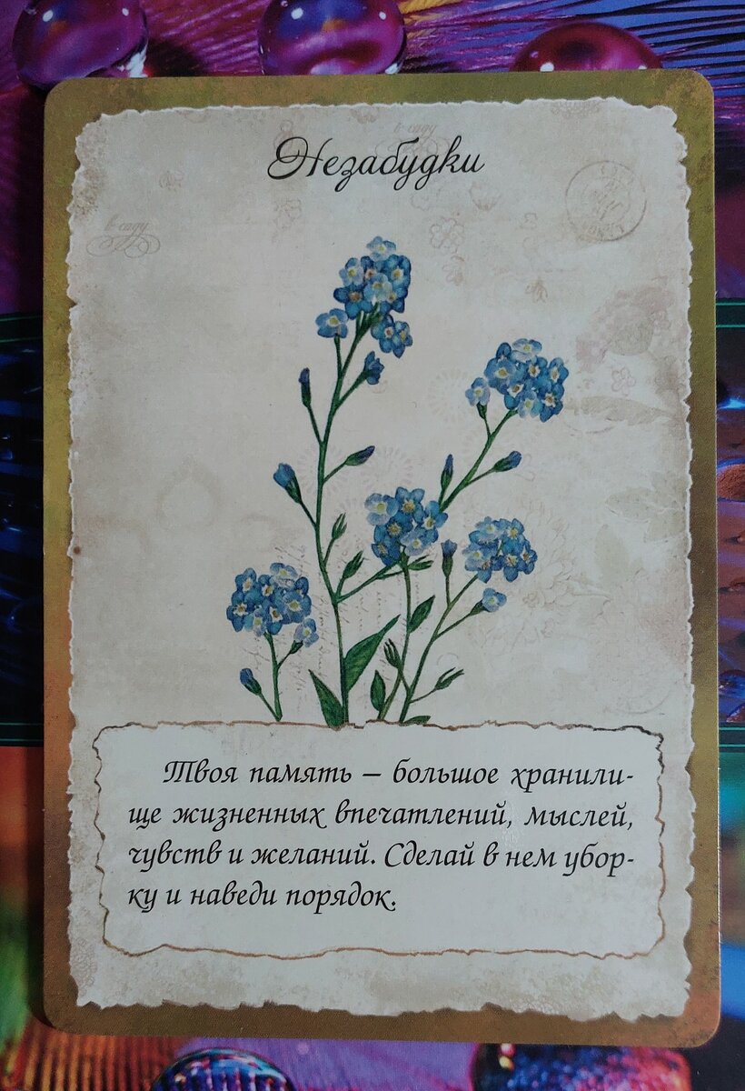 Колода: "Хранительницы Сада" Т. Зинкевич-Евстигнеева