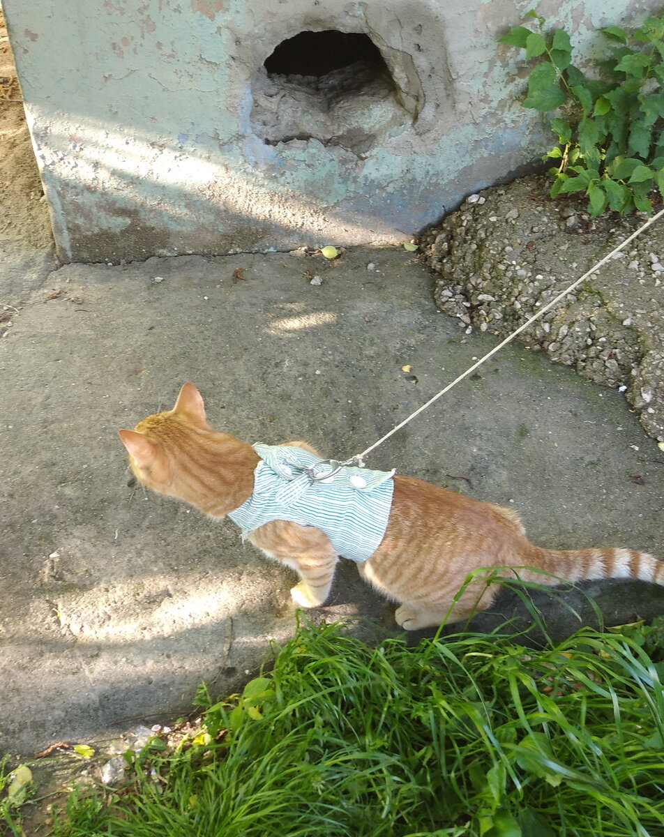 личное  фото.