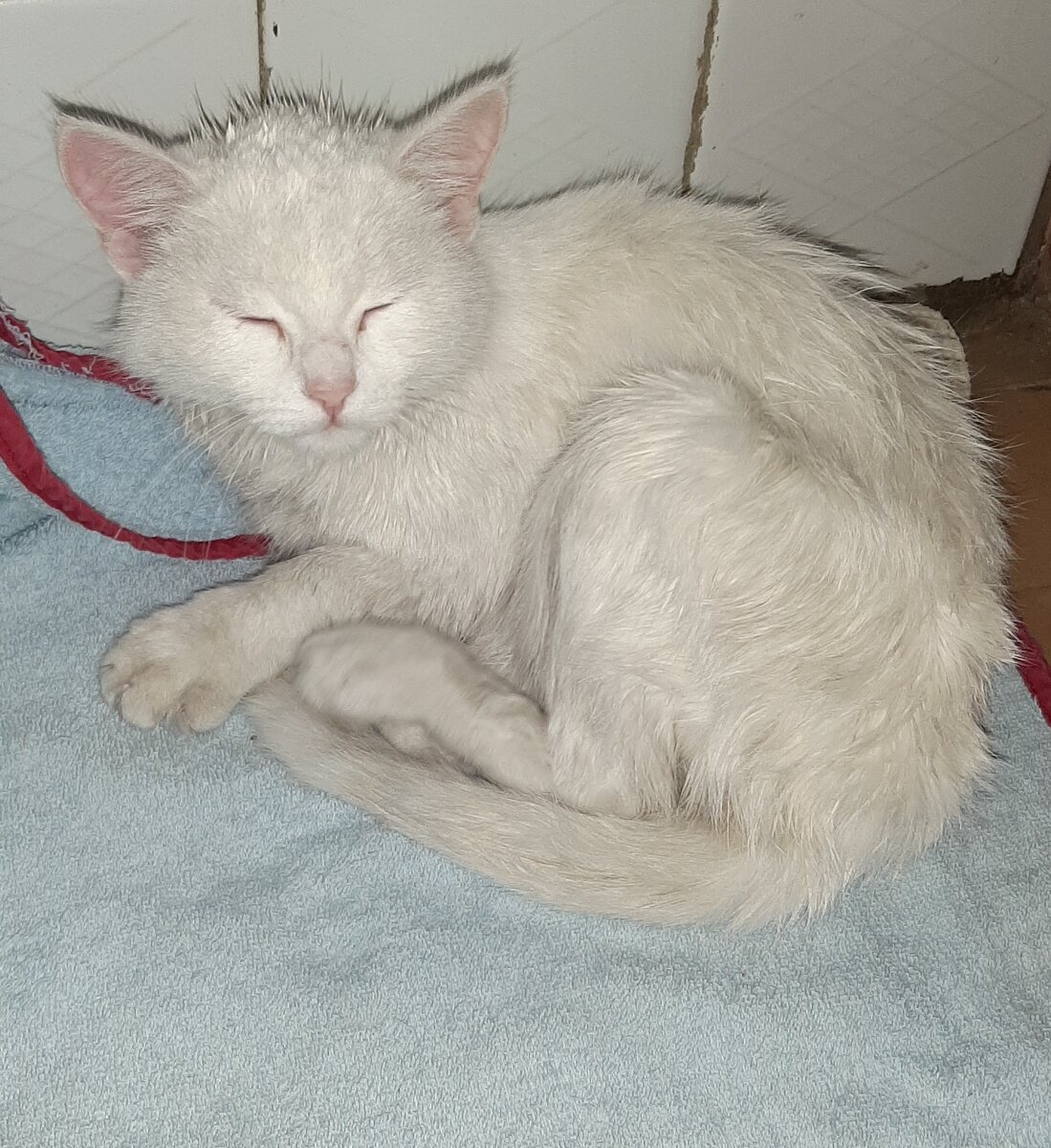 После водных процедур