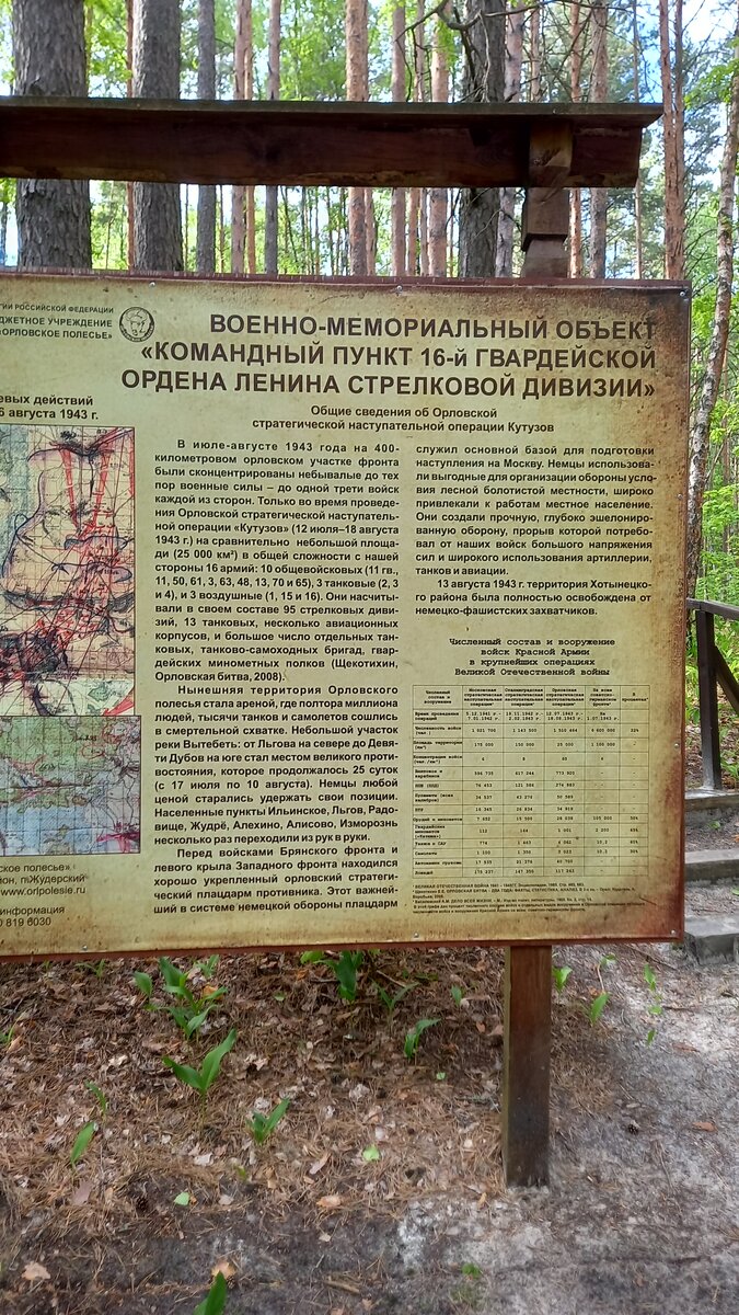 Орловское полесье