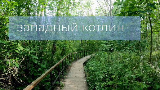 Заказник Западный Котлин. Форт Шанц ,West Kotlin Nature Reserve. Fort Schantz