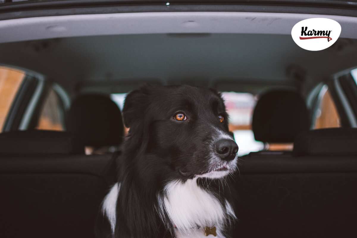 Авторское изображение с использованием картинки с фотостока "Unsplash" 