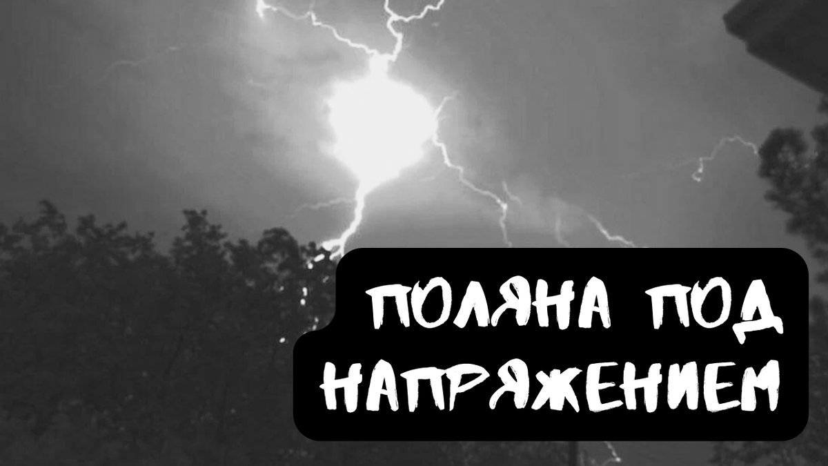 Не забудь подписаться, поставить лайк и написать в комментариях все, что думаешь об истории