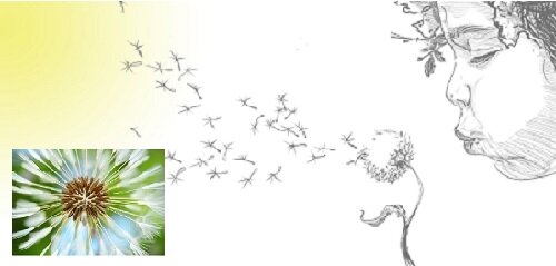 Зерна Истины