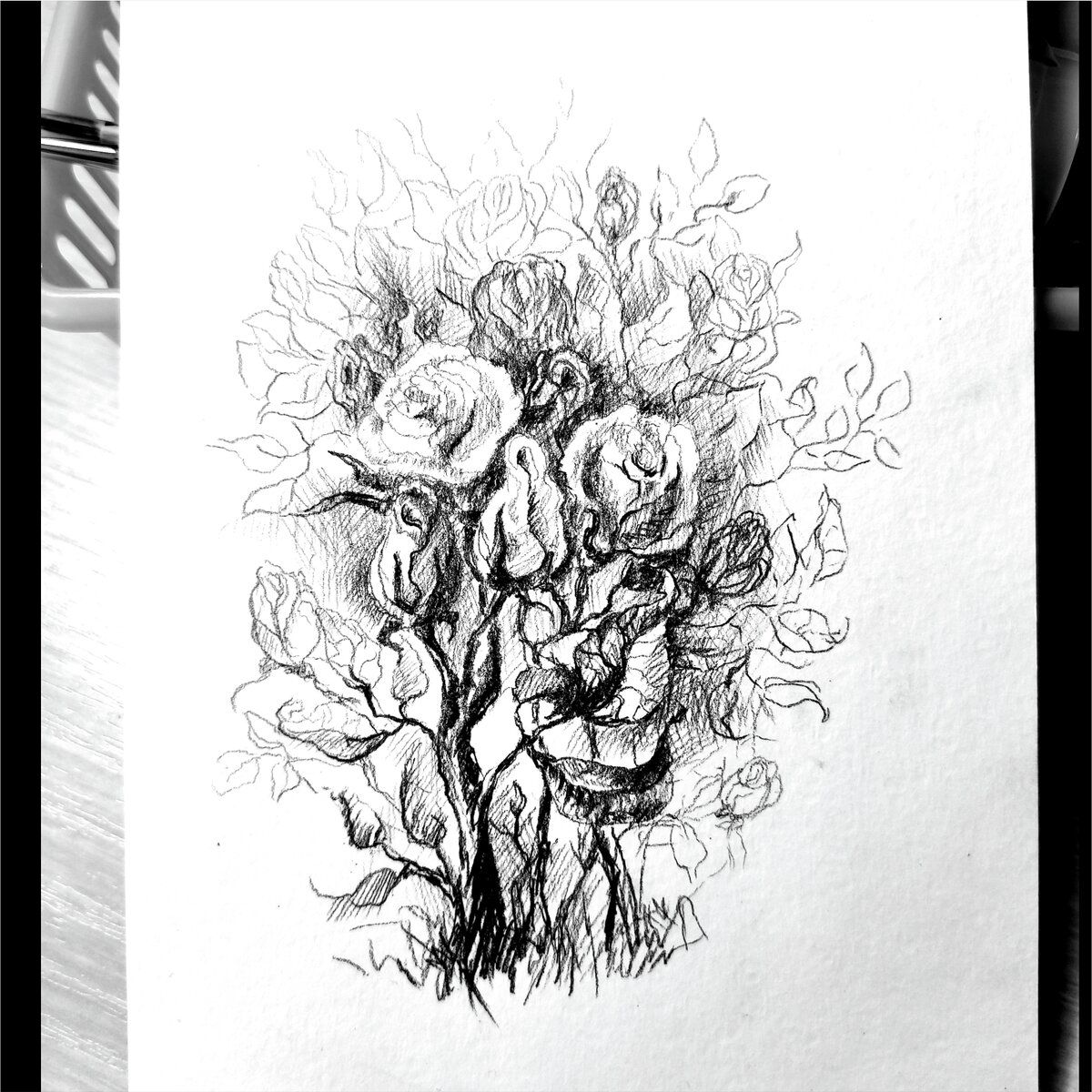 Чайные розы, 30.08.2022 г.