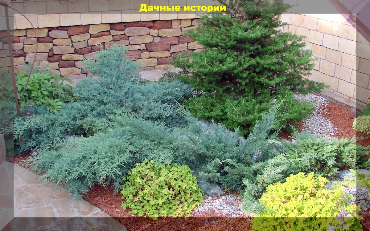 https://vk.com/photo-159774511_457255756