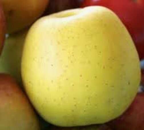 Если вы не любите кислые яблоки, выбирайте эти сорта