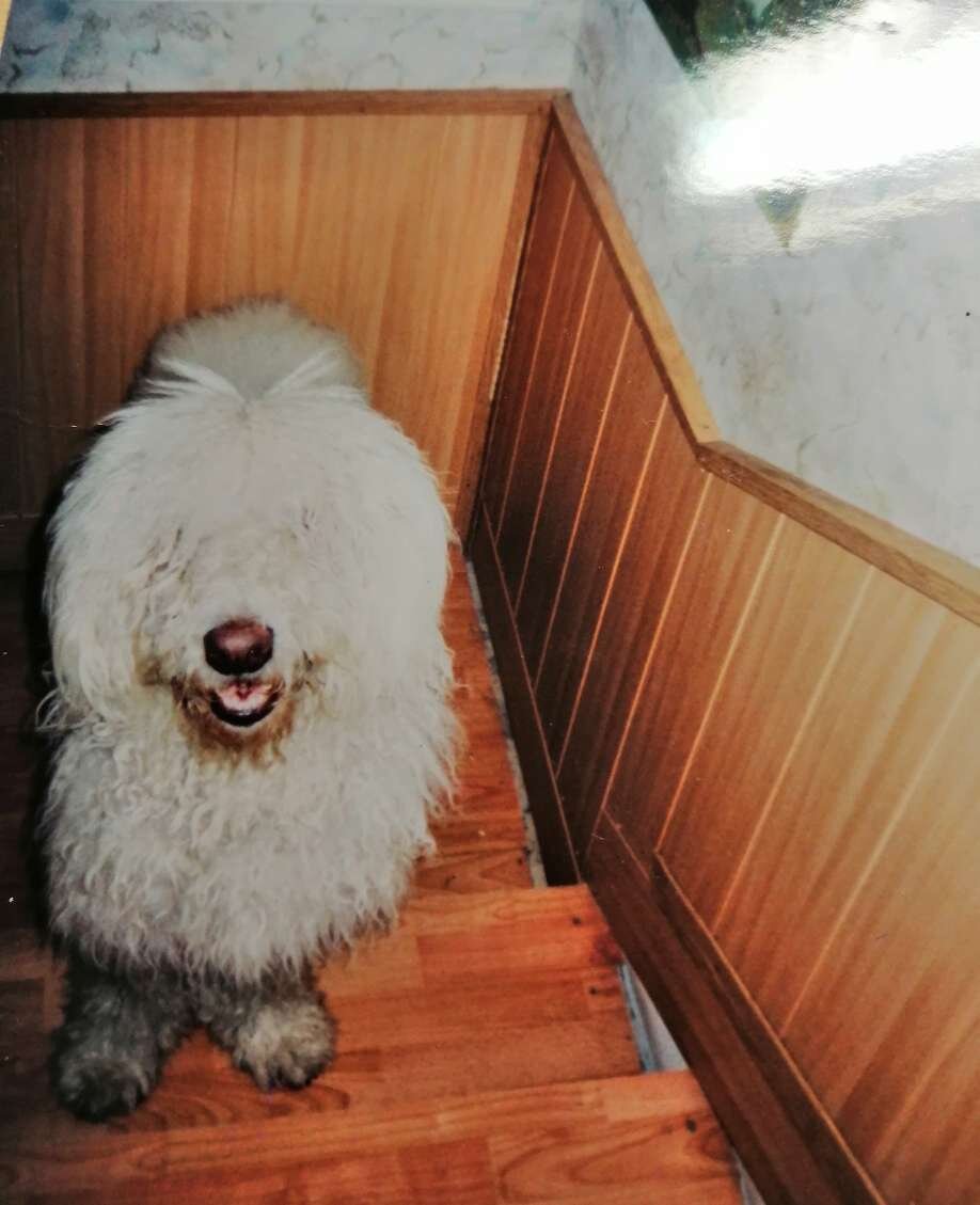 Наш командор Бароша.