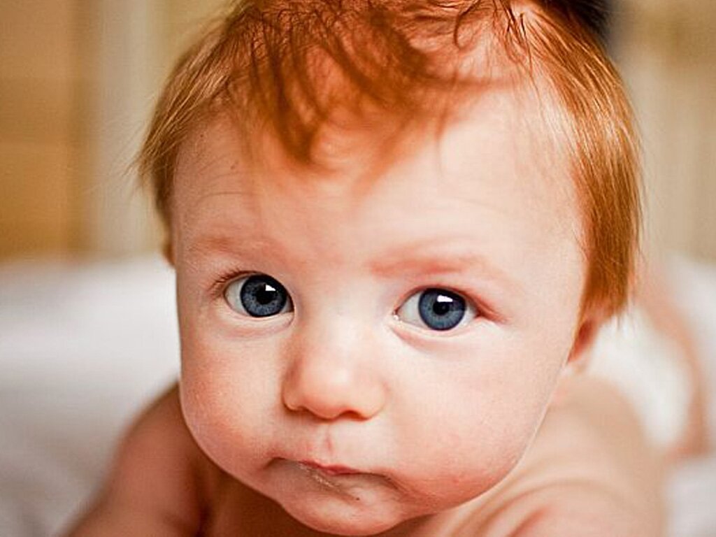 Фото из свободного доступа сети Интернет