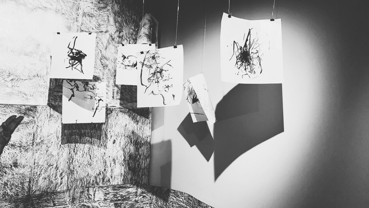 Ветер, Андрей Суздалев, Ольга Хан, Леонид Тишков. Картины ветра