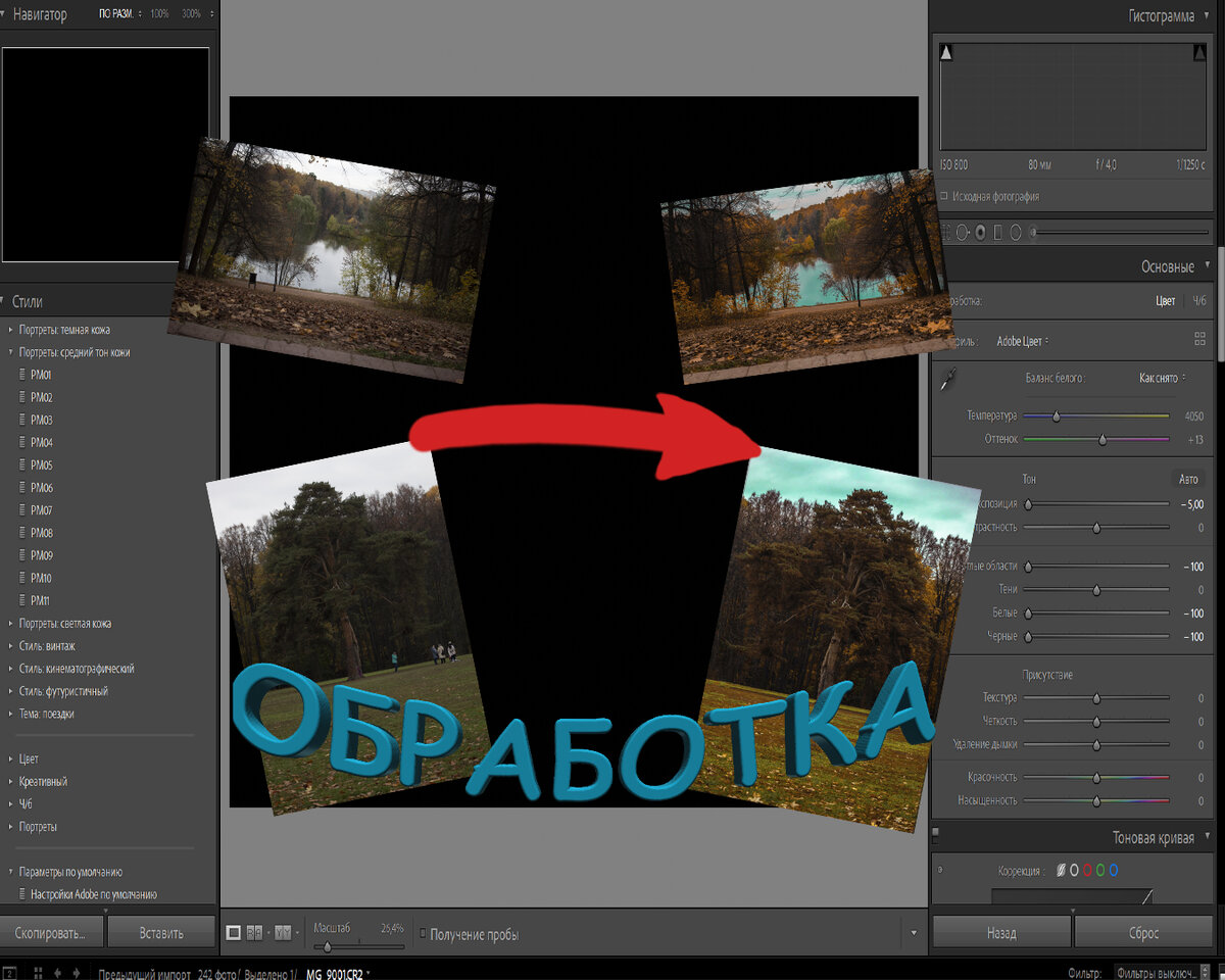 На фоне интерфейс программы "Lightroom"