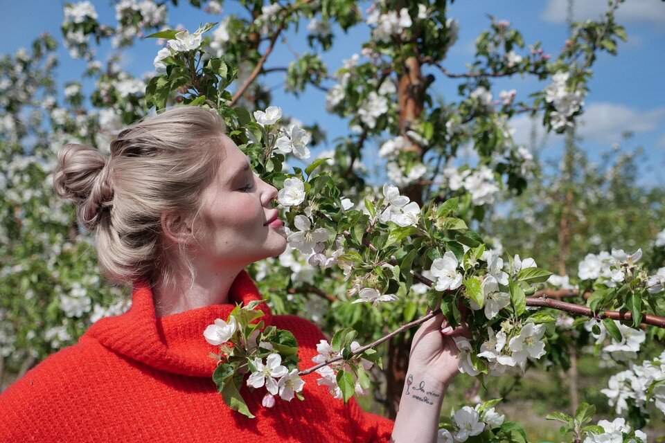     Изучаем данные разных погодных сервисов. Светлана МАКОВЕЕВА