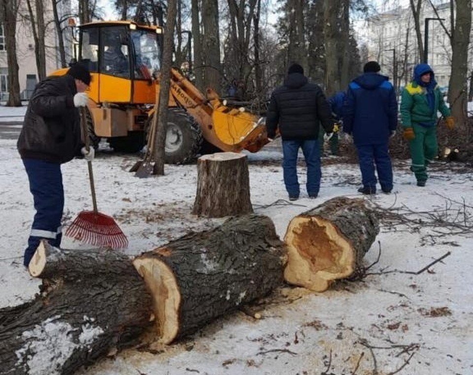     Фото управления экологии Воронежа  Предоставлено