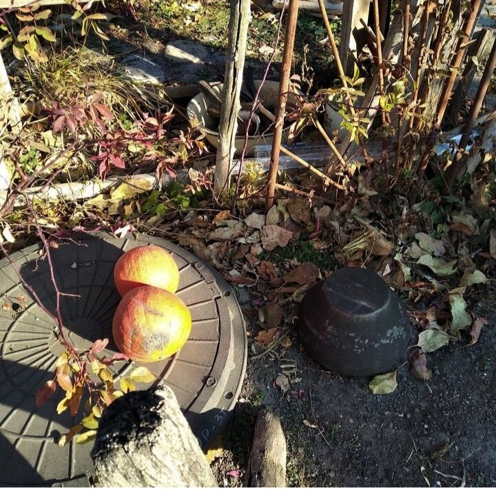 Фото с моей инсты.