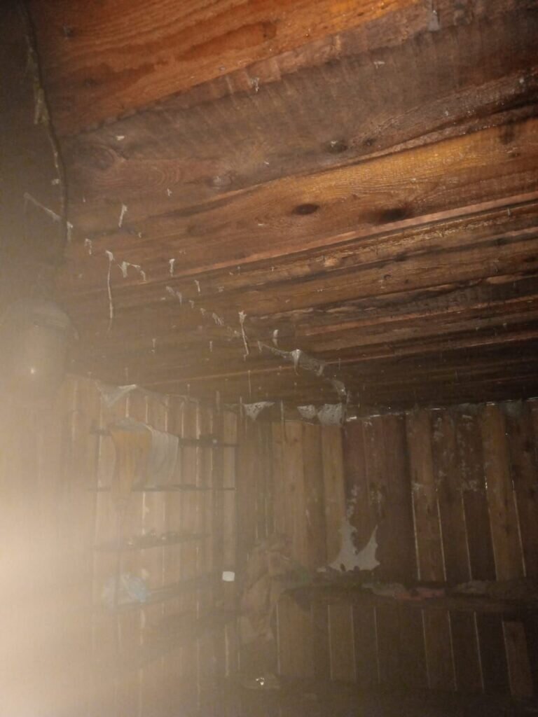    Фото: официальный инфоканал ПЧ 41 (Амурская область)