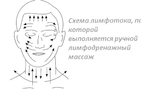 Золотые рецепты фитотерапии: очищение лимфы в один прием Лимфатическая система, 