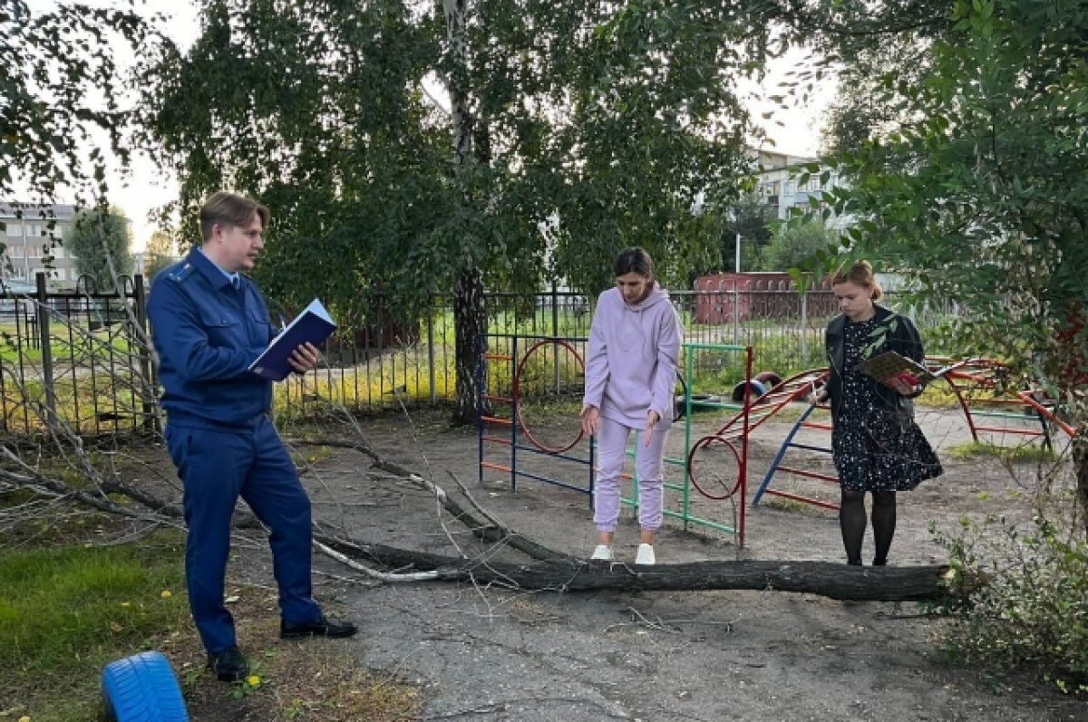    В бийском детсаду на 4-летнего мальчика упала большая ветка