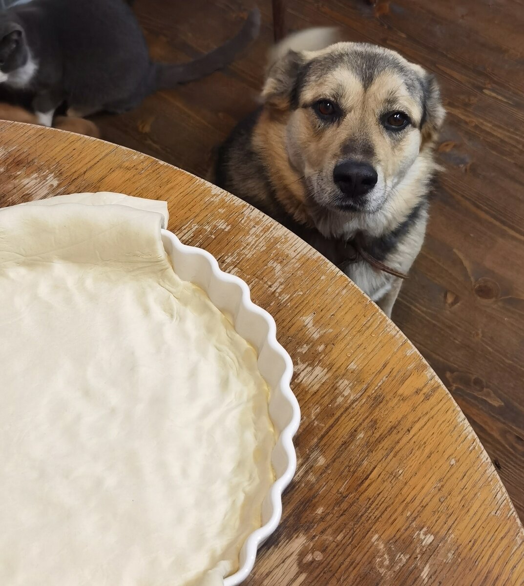 Самые голодные глаза