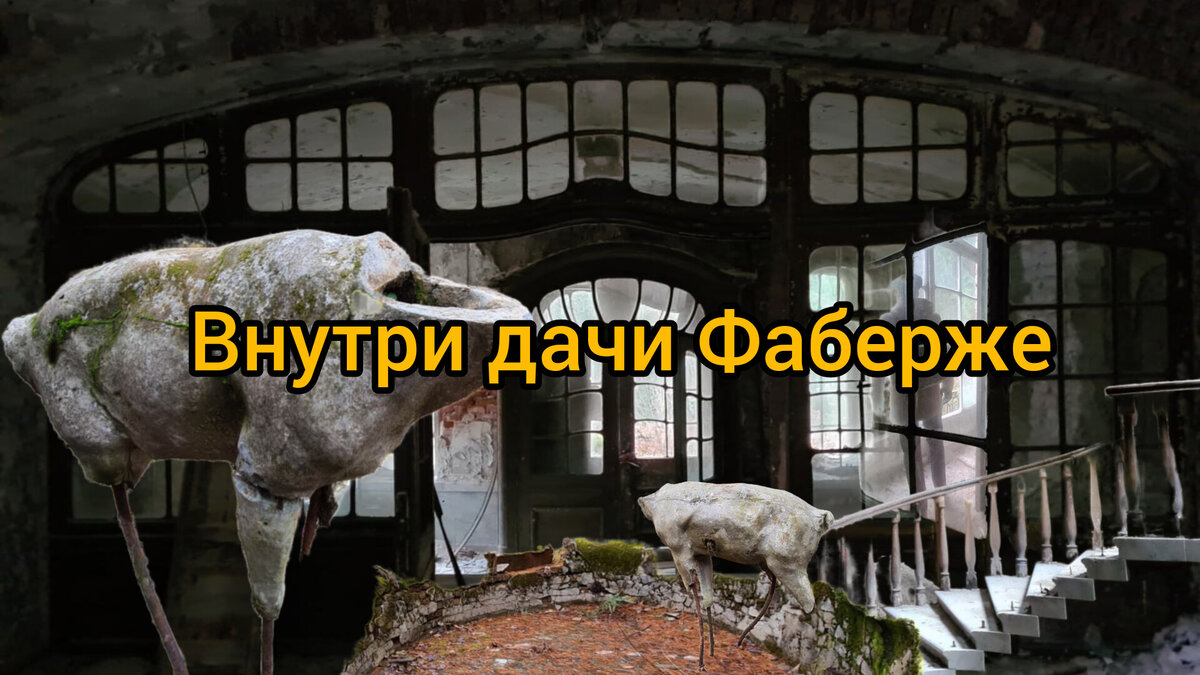 Фото: Парадная гостья