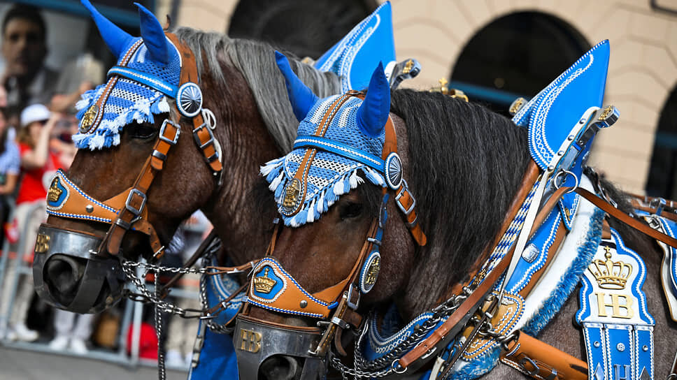 Октоберфест 2023. Октоберфест 2023 картинки. Oktoberfest Parade Horse Hi-res Photography and images Мюнхен.