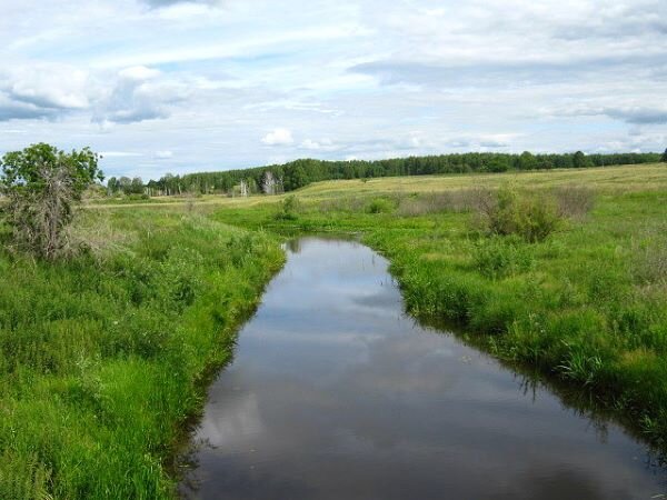 Река Оша в Колосовском районе Омской области. Фото из личного архива моей землячки Л. Чурсиной