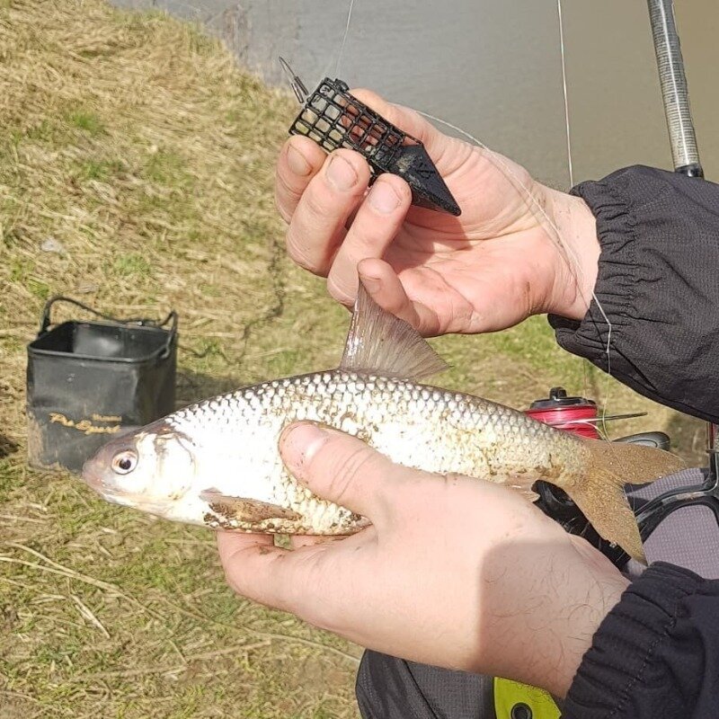 Фото https://www.instagram.com/p/B_LG14eqIs5/