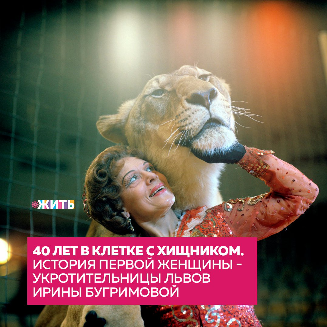 Цирк... как много детских воспоминаний связано с этим сказочным словом😌 
Однако, самое главное то, что раньше цирки не были в жестокости, это был другой формат и к животным в них относились с любовью. В то время не было книг по руководству воспитания царя зверей, поэтому, первая женщина -дрессировщица делала все интуитивно и с большой любовью.

Имя этой женщины Ирина Николаевна Бугримова и сегодня день ее рождения☺

В этот день мы бы хотели рассказать одну из историй ее жизни. Начинается она со львов. Львы, как известно, являются царями зверей. Работать с ними, с одной стороны, интересно, поскольку благородство у них в крови, однако, с другой стороны, эти животные очень опасны и порой в гневе могут причинить немалый вред☝

Именно так разозлились однажды на Ирину Гай и Юлий. И ей тогда наложили около 50 швов. Примечательно, что в тот день Ирину спас третий лев - Цезарь. Впоследствии женщина вспоминала, что это был для нее ужасный психологический стресс, и ей нужно было решать, сможет ли она снова войти в клетку. Главное было преодолеть страх, поскольку животные, и тем более львы, это всегда чувствуют. Ирина сумела тогда победить страх и очень скоро, улыбчивая и гордая, она вышла на арену в сопровождении своих львов🦁

Она доказала в свое время, что животные нуждаются в ласке, воспитании, а не в жестокости🤲

А Вы ладите со своим питомцем?

#жить #проектжить
