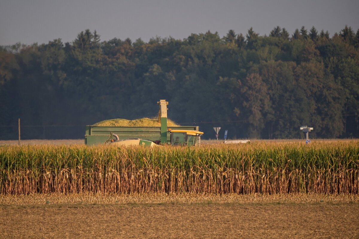 Krone Big X, Fendt, Brandtner