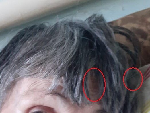 Семейная реликвия. Глава 1. Часть 3.