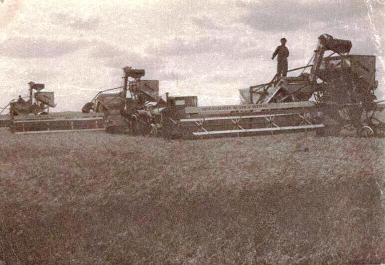 Совхоз "Гигант" Ростовской области. Яндекс картинки.