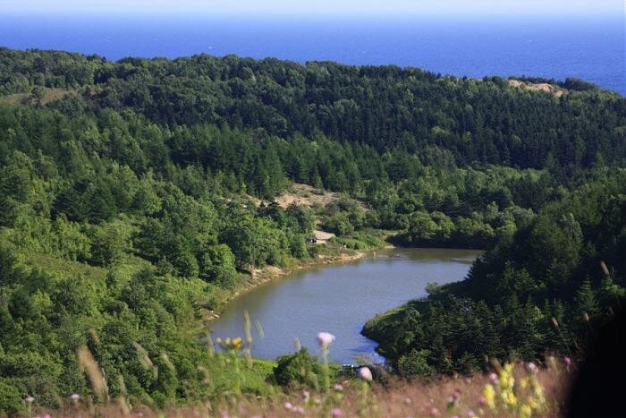 Как например это).