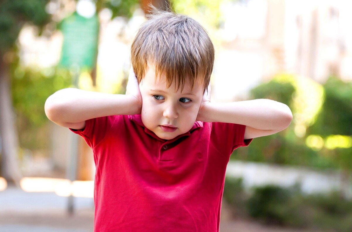 Фото из свободных источников