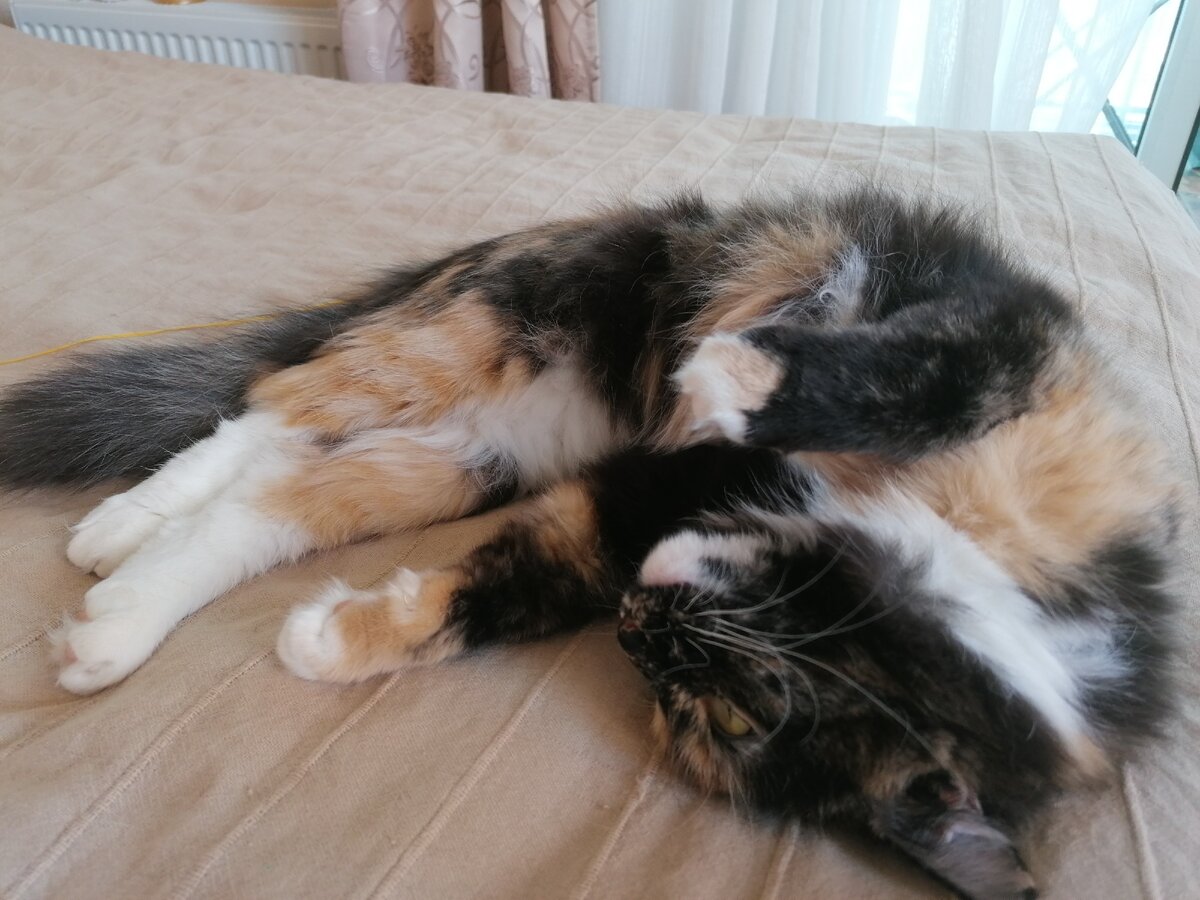 И чтобы сразу вот так - полный расслабон.