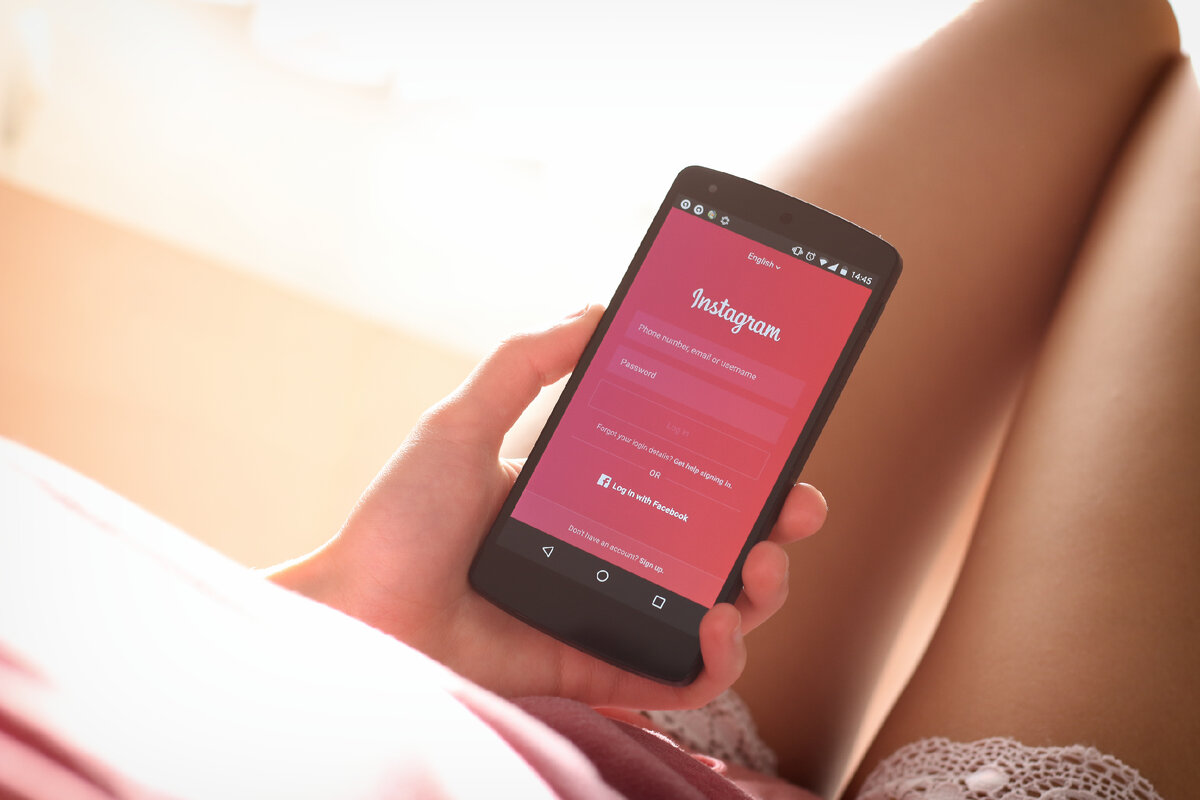 Изображение взято с stocksnap.io