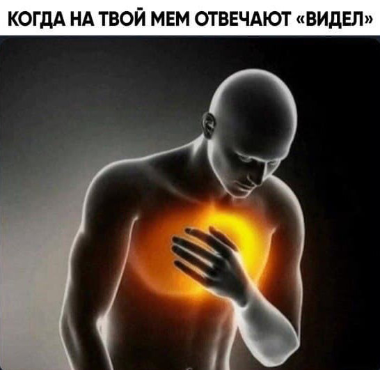 Все изображения были взяты из открытых источников