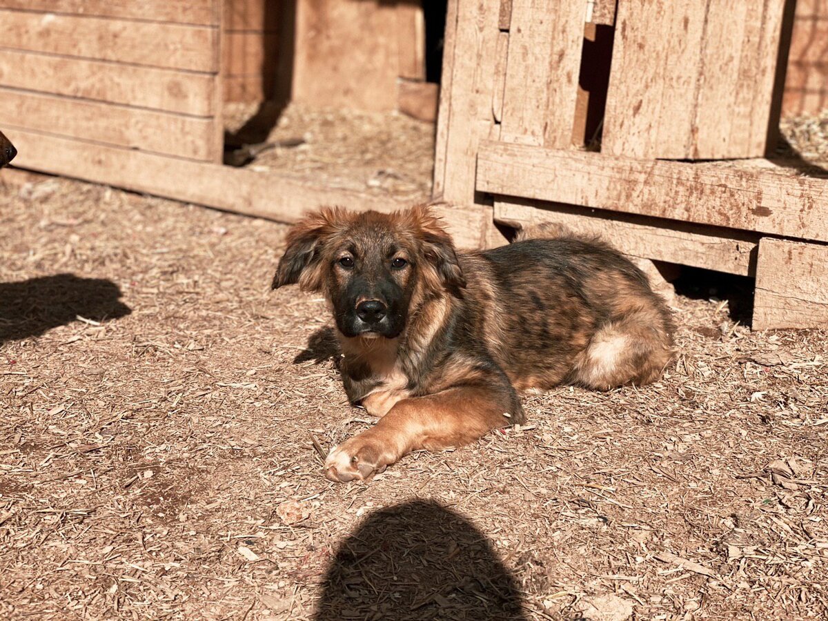 Мишка превратилась в настоящую красавицу, особенную.