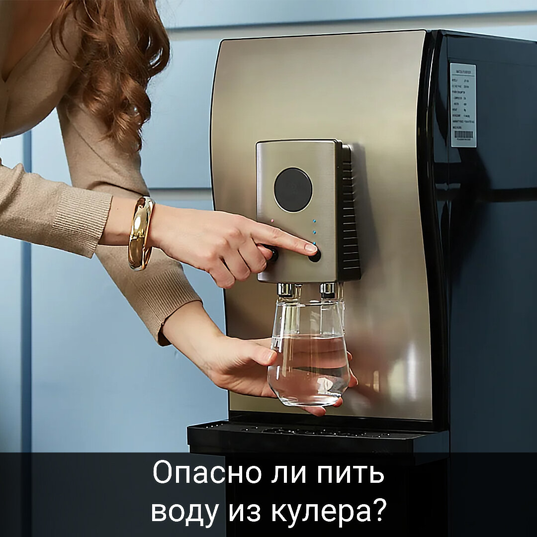 Фото с сайта pixabay.com