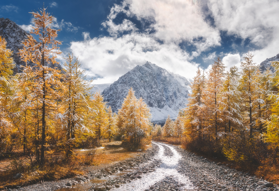 АЛТАЙ. Сайт Антона Агаркова: https://whiteroad.club