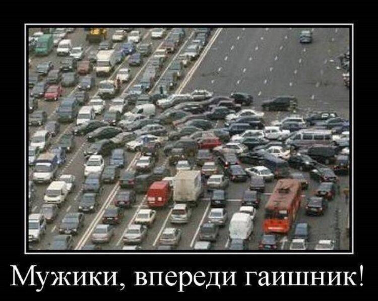 Фото: интернет мемы 