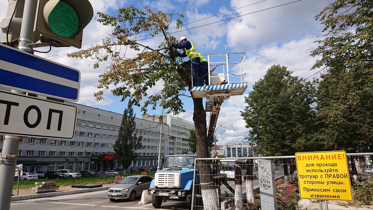 Так начинался спил старых лип на Компросе.