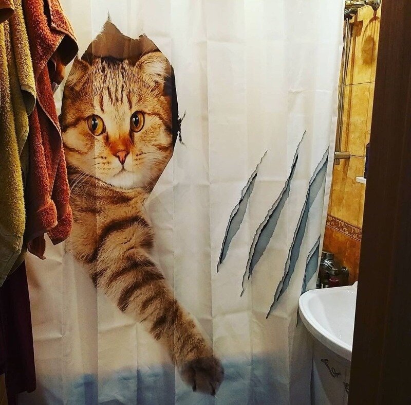 Источник фото https://www.instagram.com/p/CAclgcnhhyh/