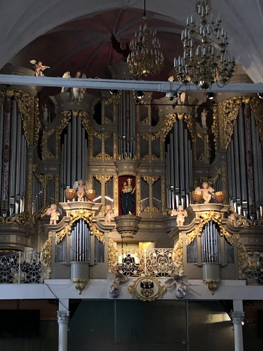 Орган В кафедральном соборе