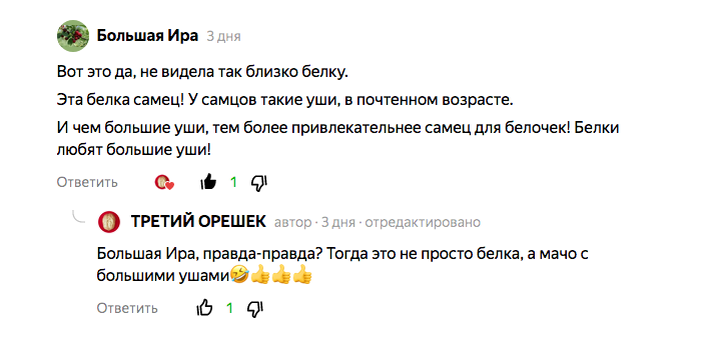 Скриншот комментария под видео автора