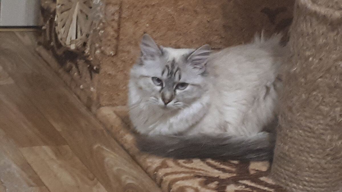 И часовню... тоже я?!