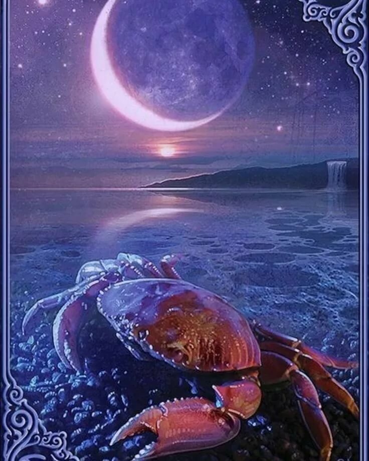 Картинка зодиака рак. Рыба Луна. Луна в Скорпионе. Солнце в Скорпионе. Луна в Скорпионе и рыбах.