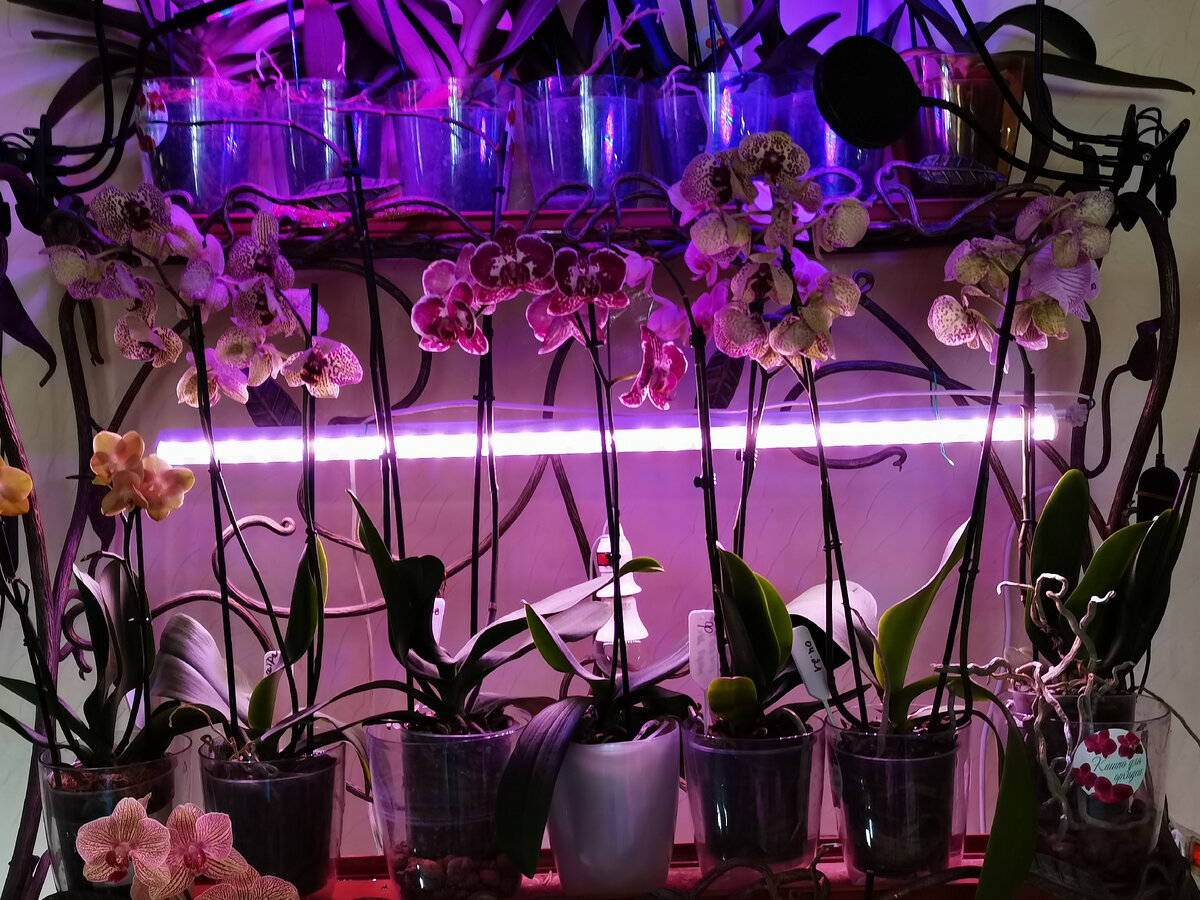 Идеально. Так должно быть.